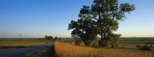 439248 (a): :3200x1200